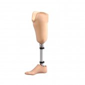 Proteza de gamba modulara
